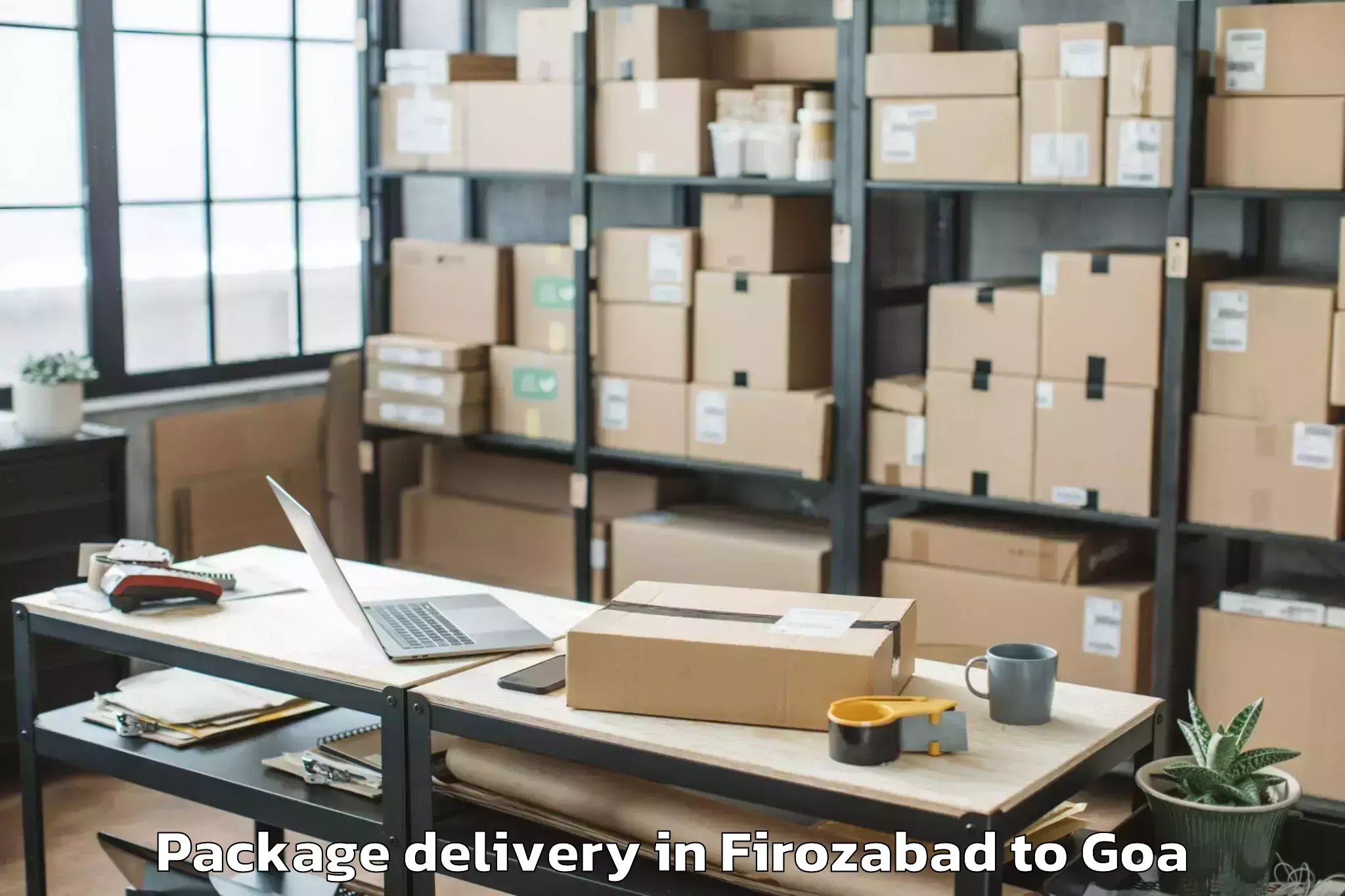 Hassle-Free Firozabad to Goa University Package Delivery